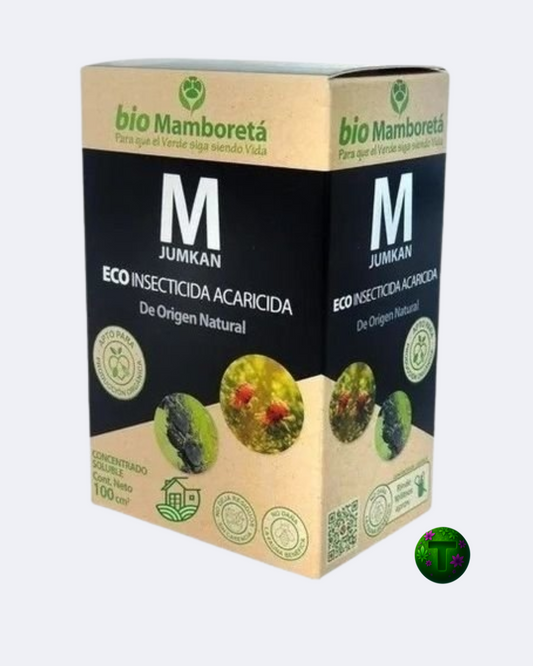 MAMBORETA M