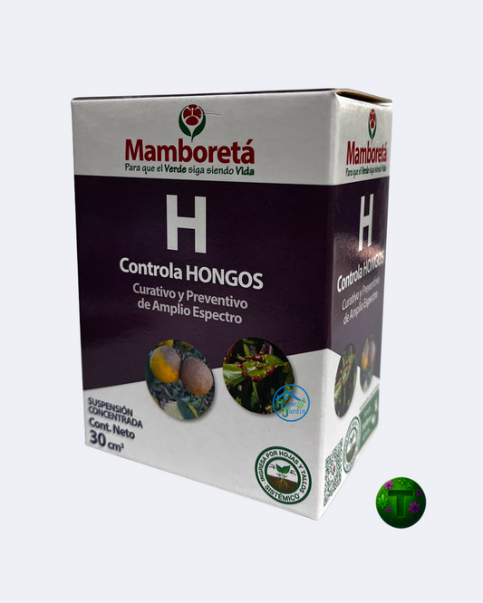 MAMBORETA H  (30 CM3)