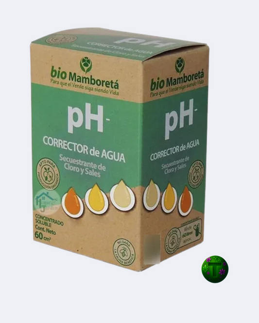 MAMBORETA PH